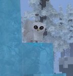 Snowy_Owl.jpg