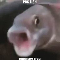 PoggersFish